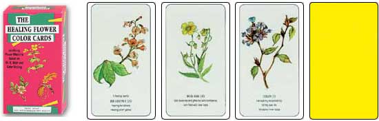 The Healing Flower Color Cards by Ingrid Kraaz
