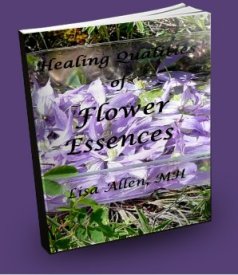 HealingQualitiesofFlowerEssences3Dlilac
